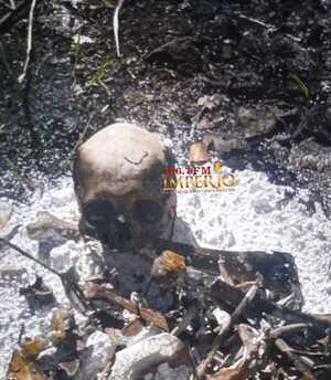 Hallan restos óseos calcinados en un patio baldío en barrio Obrero - Radio Imperio 106.7 FM
