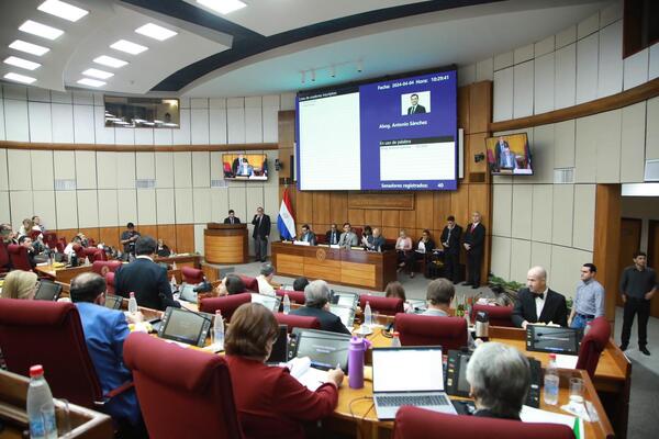 Con 37 votos en el Senado aprueban proyecto “Hambre Cero en las Escuelas” - trece