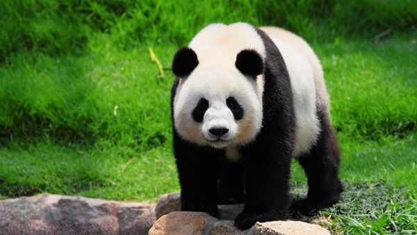 China: Conocemos a fondo sobre este gran país - SNT