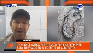 Niño fue atacado por una víbora en Curuguaty | Telefuturo