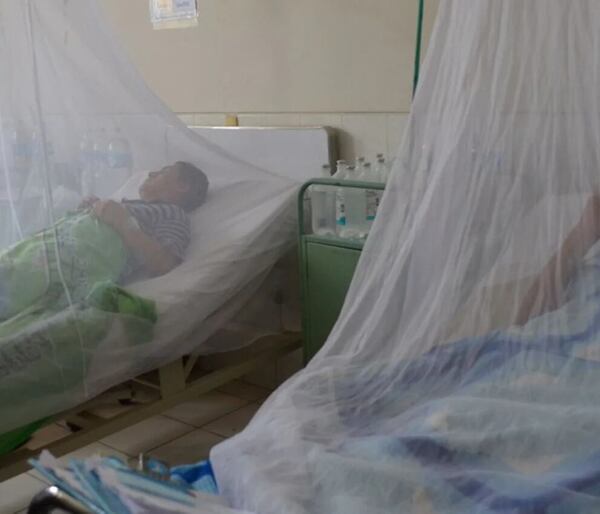 Argentina supera 180.000 casos de dengue, con 129 fallecidos - ADN Digital