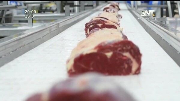 Bloque económico: Lobby para exportar carne al norte de EE.UU - SNT