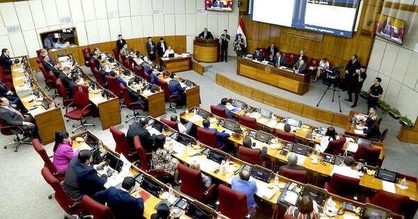 La Nación / Senado sanciona el proyecto de ley “Hambre cero en las escuelas”
