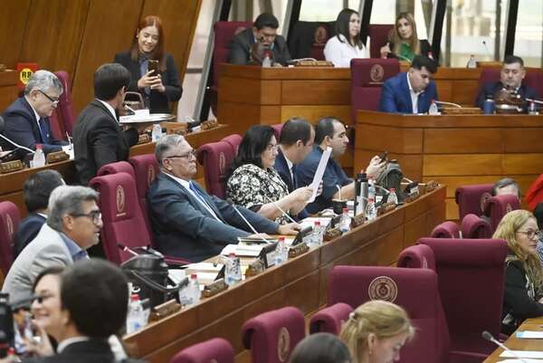 Cámara de Diputados archiva reformas a regulación nuclear - Política - ABC Color
