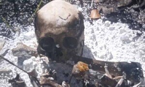 Hallan cráneo y otros restos óseos de una persona en Amambay – Prensa 5
