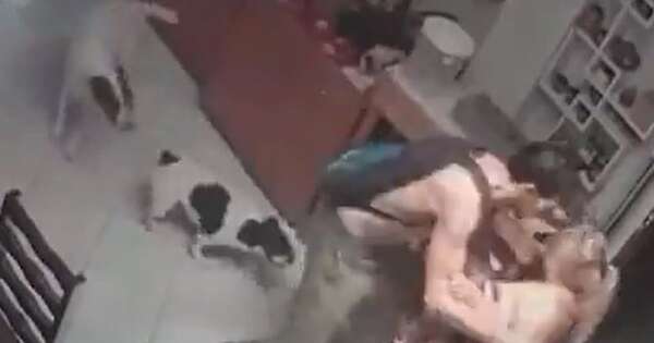 La Nación / Detienen a enfermero acusado de agredir a su expareja