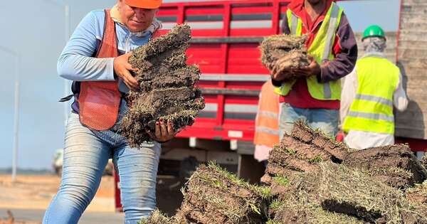 Diario HOY | Costanera Sur: contará con espacios de calidad para la ciudadanía