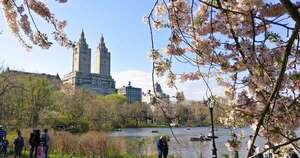 Diario HOY | Inusual sismo sacude Nueva York