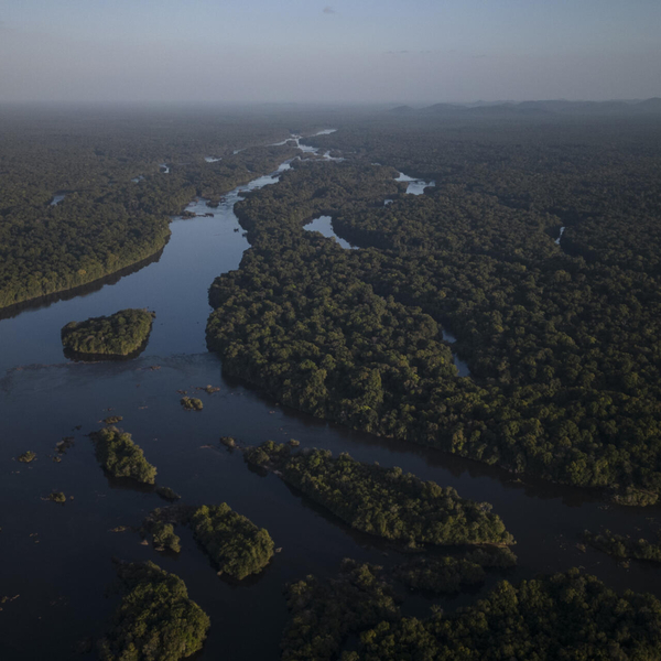 Guyana rechaza ley venezolana sobre región del Esequibo - ADN Digital