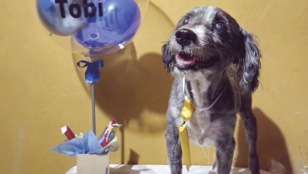 Celebró los 15 años de su perrito: “Es mi compañero”