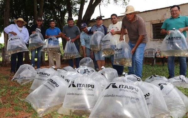 Donan más de 29.000 alevines para la producción y no incluyen al departamento de Amambay