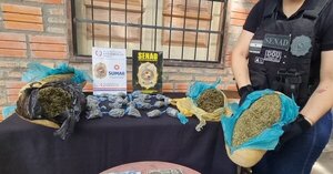 Plan Sumar: Senad sacó de circulación más de 470.000 dosis de drogas y anuló 250 focos de microtáfico