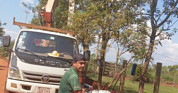 Diario HOY | Tres trabajadores fallecieron electrocutados en Hernandarias
