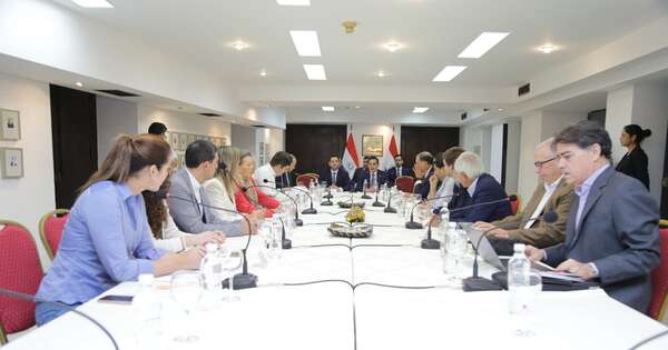 Diario HOY | Carne paraguaya a Estados Unidos: “Las gestiones del gobierno son apropiadas”