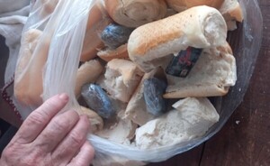 Guardiacárceles capturan a mujer con marihuana en la cárcel de CDE