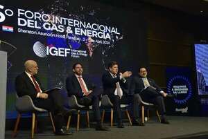 Gobierno proyecta un gasoducto en el Chaco: estiman una inversión de US$ 2.000 millones - Economía - ABC Color