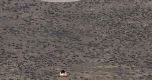La Nación / Astronautas aterrizaron sanos y salvos tras una estancia a bordo de la EEI