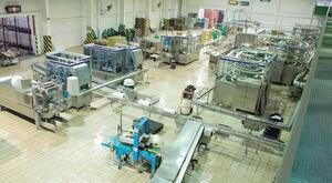 Expertos destacan modernización de la industria láctea - La Tribuna
