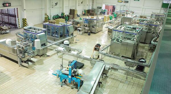 Expertos destacan modernización de la industria láctea - La Tribuna