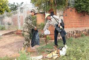 Senepa registra disminución de casos de dengue en Alto Paraná - ABC en el Este - ABC Color