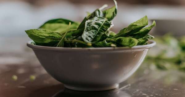 La Nación / Cuál es el vegetal que sirve para potenciar al cerebro