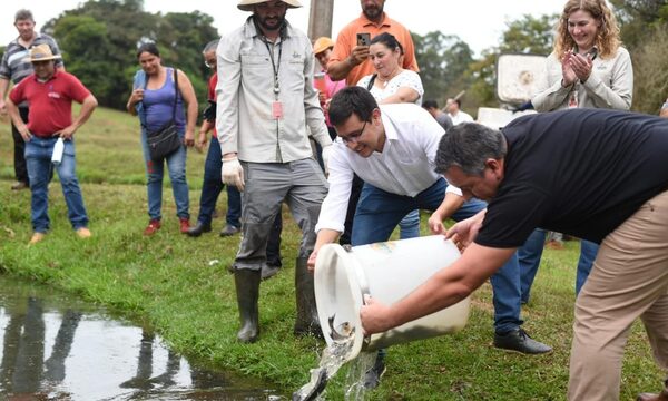 Entregan peces a piscicultores de Minga Guazú