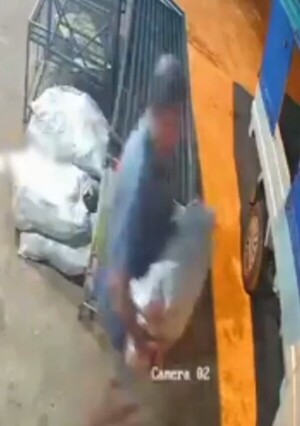 (VIDEO). Captaron a mondaha de mandiocas en J. A. Saldívar