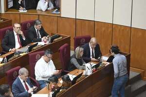 Senado aún no comunicó al Poder Judicial sobre “devolución” de fueros - Política - ABC Color