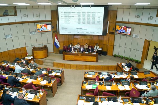 Devolución de fueros: Senado hizo la comunicación al Juzgado Penal de Garantías - ADN Digital
