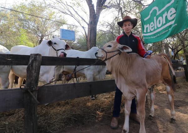 Paraguay recibirá cumbre hemisférica de la sanidad animal, clave para la seguridad alimentaria - .::Agencia IP::.