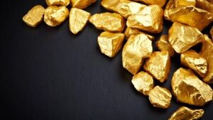 Un iraní encuentra oro en tacho de basura y se lo devuelve a su dueño