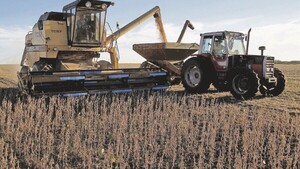 Alentador cierre de cosecha sojera y lluvias auspiciosas