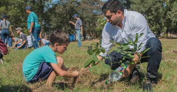 La Nación / Plantatón: inscriben para octava edición en mayo