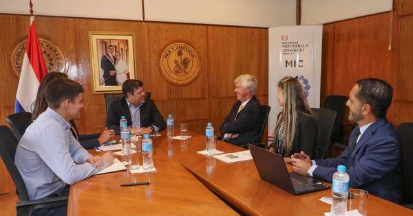 Diario HOY | Empresarios suizos quieren invertir en reforestación de gran envergadura