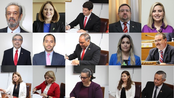 Quince profesionales se postularon hasta el momento para el cargo de Defensor General