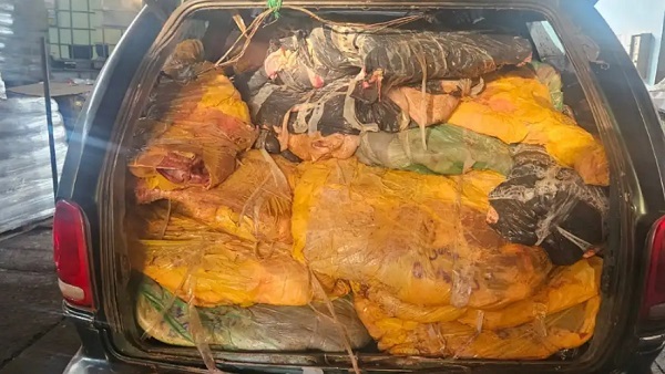 Incautan más de 2 toneladas de carne de contrabando en Hernandarias