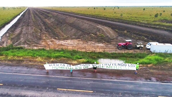 Ñeembucú: Denuncian que los arroceros destruyen humedales