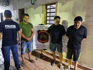 Tres detenidos por el robo de 60 toros de una estancia del Chaco - Policiales - ABC Color