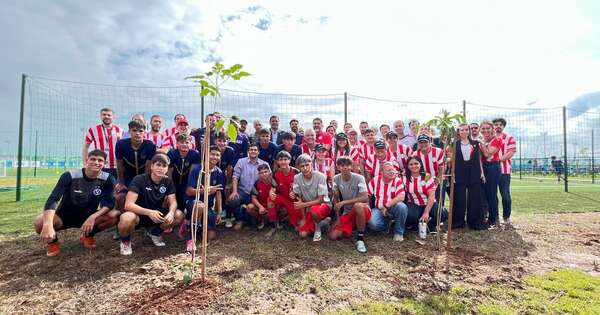 Diario HOY | APF y A Todo Pulmón plantan árboles en el semillero de fútbol paraguayo
