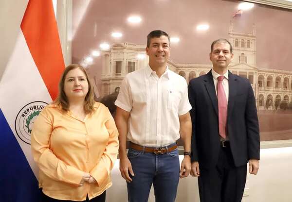 Titular antilavado de dinero no habló tras visitar a Peña - Política - ABC Color