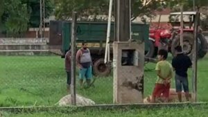 Vacas fallecen electrocutadas por cable pelado en parque municipal de La Colmena - Radio Imperio 106.7 FM