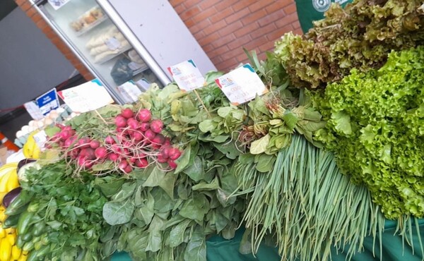 Familias campesinas ofrecen productos frescos del campo en Feria “De Raíz” en el Multiplaza - .::Agencia IP::.