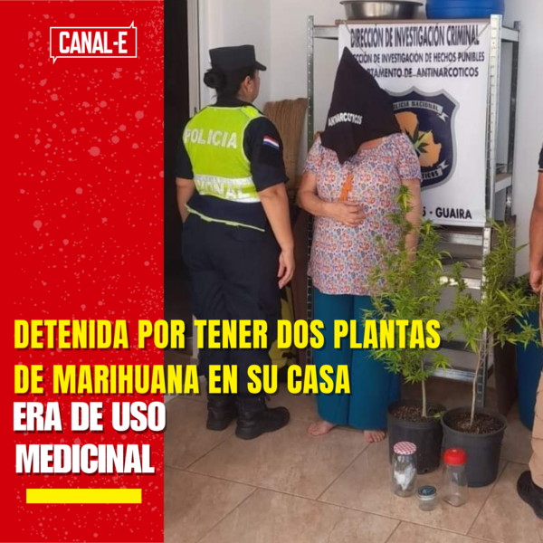 Detenida por tener dos plantas de marihuana en su casa