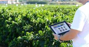 La Nación / Políticas definidas para potenciar a pequeños productores son claves para el efecto derrame