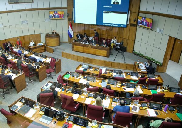 Presentan otro proyecto de ley para el blindaje del Arancel Cero - ADN Digital