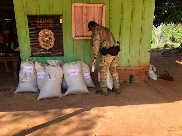 En medio de una disputa por el poder narco, quemaron “millones de dólares”
