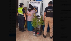 Mujer de 61 años detenida por cultivar marihuana en macetas