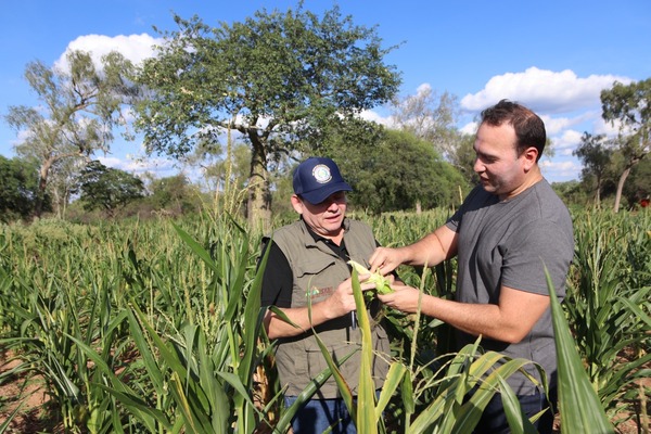 Indert prepara titulación masiva de tierras en el Chaco para fomentar inversiones - .::Agencia IP::.