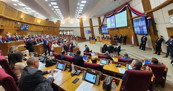 La Nación / Otorgan media sanción para transferencia de inmuebles al MSPYBS