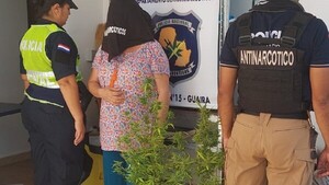 Una mujer fue detenida con dos plantas de marihuana en Guairá